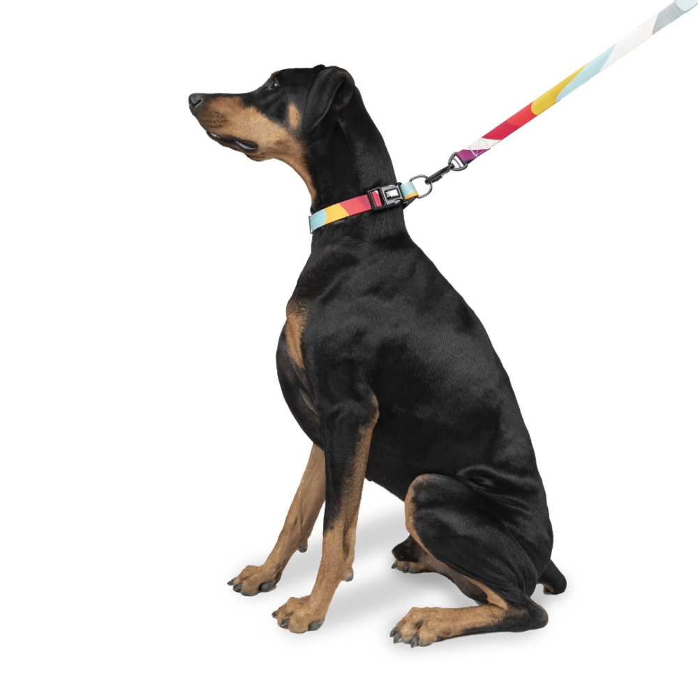 Zoomiez Swirl Printed Leash for Dogs