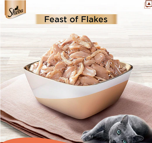 Sheba Fish with Sasami & Fish with Dry Bonito Flake Cat Wet Food Combo (24+24)