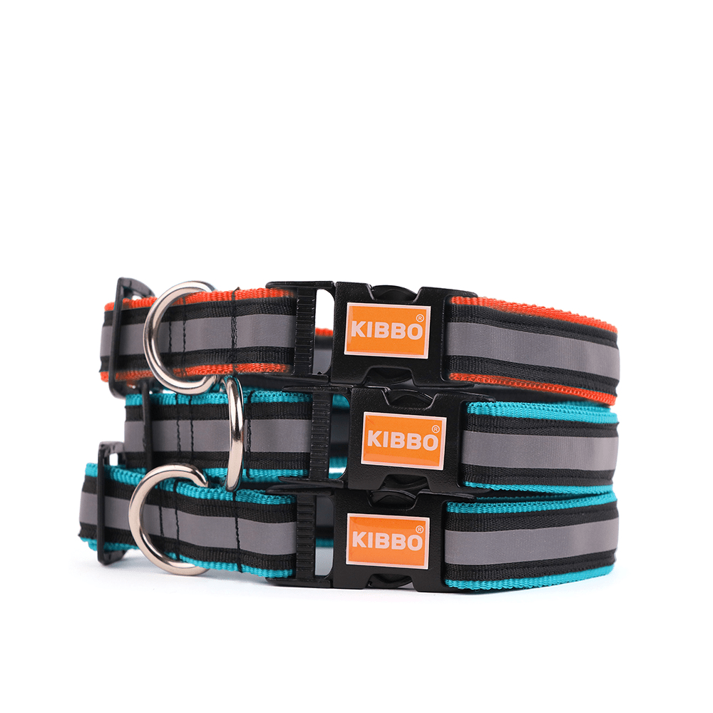 Kibbo Premium Nylon Collar with Buckle and D Ring For Dogs (Sea Green, Red/Pack of 3)