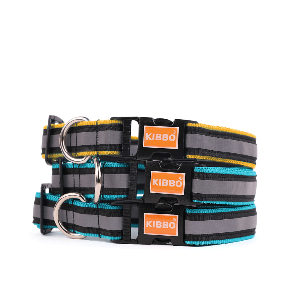 Kibbo Premium Nylon Collar with Buckle and D Ring For Dogs (Sea Green, Yellow/Pack of 3)