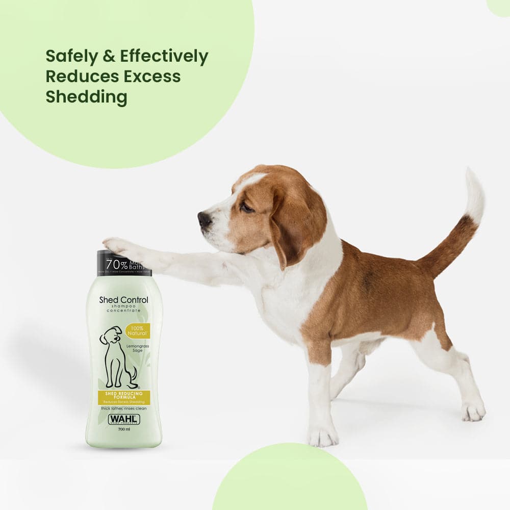 Wahl Shed Control Shampoo for Dogs (Lemongrass & Sage)