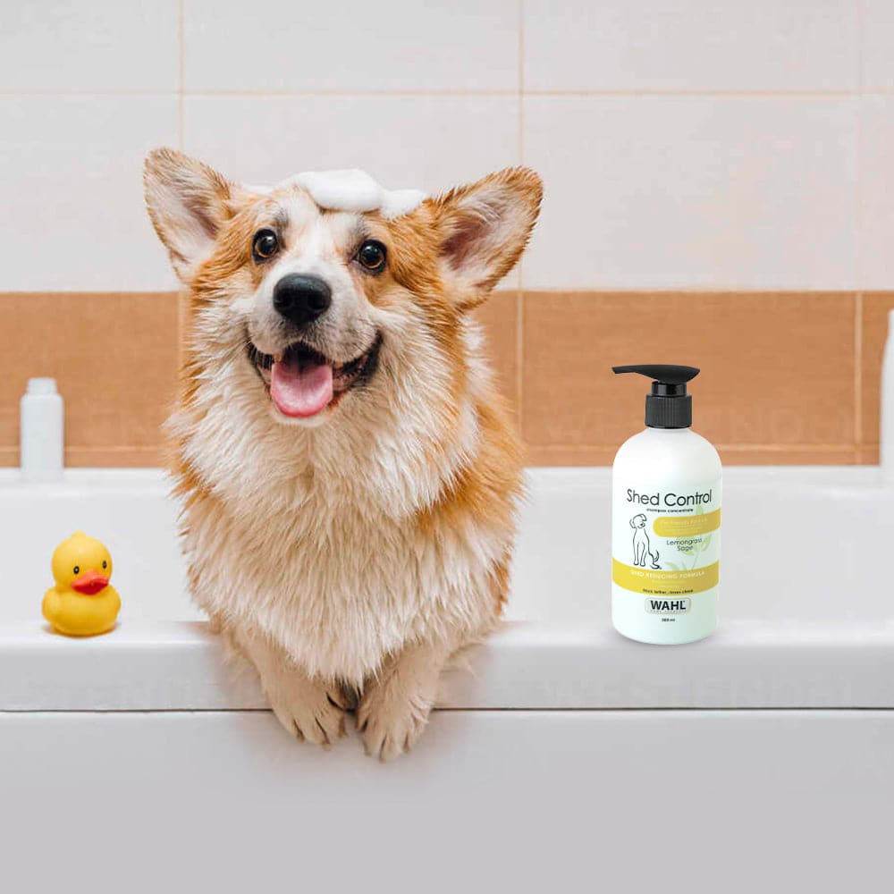 Wahl Shed Control Shampoo for Dogs (Lemongrass & Sage) Dogs-Grooming Supplies Wahl