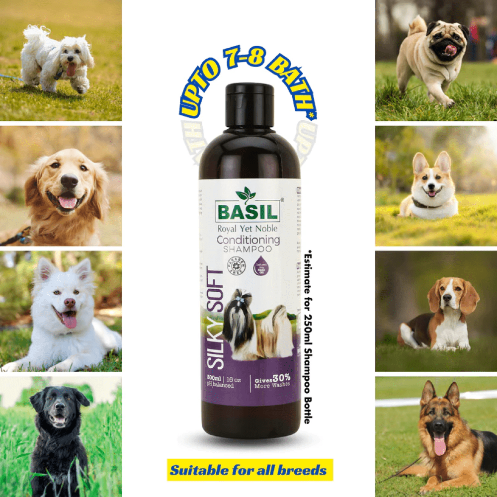 Basil Silky Soft Conditioning Dog Shampoo Dogs-Grooming Supplies Basil