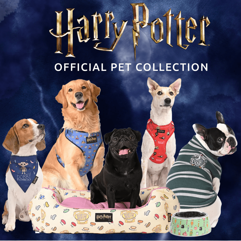 Harry Potter Potions In Motions Bowl for Dogs and Cats