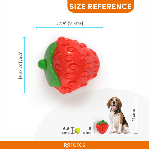 Barkbutler x Fofos Silence Strawberry Squeaky Chew Toy for Dogs
