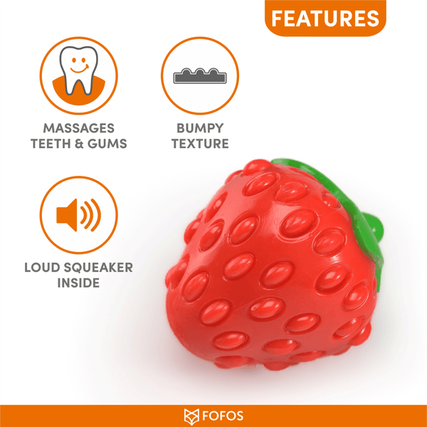 Barkbutler x Fofos Silence Strawberry Squeaky Chew Toy for Dogs