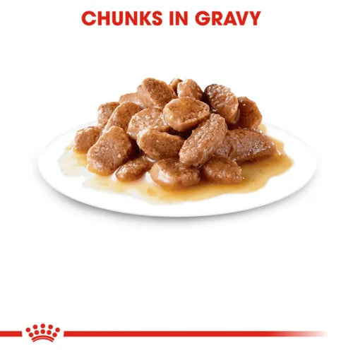 Royal Canin Instinctive Gravy Wet Food and Hair & Skin Care Adult Gravy Cat Wet Food Combo Exclusive Combo Royal Canin