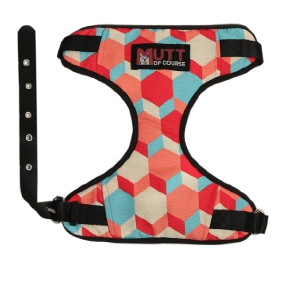 Mutt of Course Candy Barr Harness for Dogs
