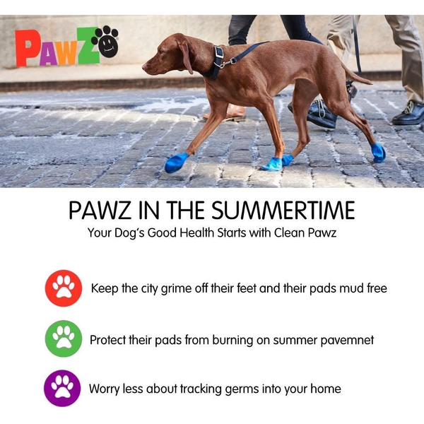 Protex PawZ Disposable and Reusable Boots for Dogs (Purple)