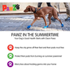 Protex PawZ Disposable and Reusable Boots for Dogs (Purple) Dogs-Clothing & Accessories PawZ