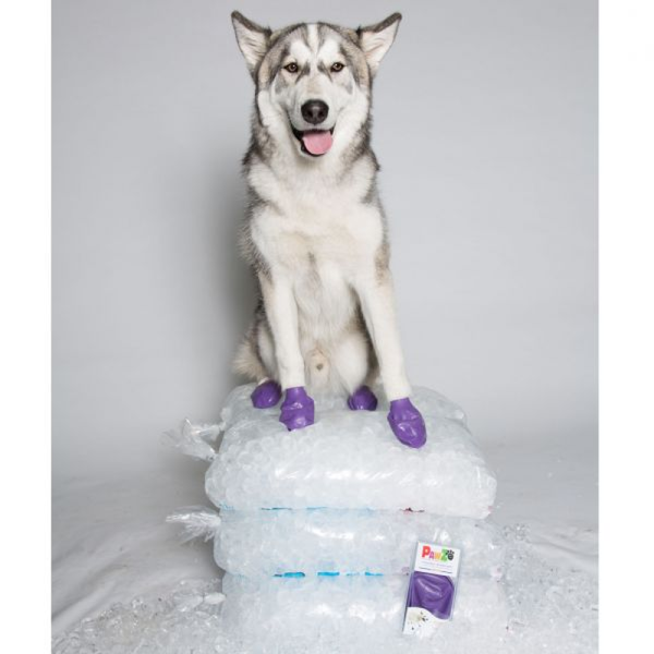 Protex PawZ Disposable and Reusable Boots for Dogs (Purple)