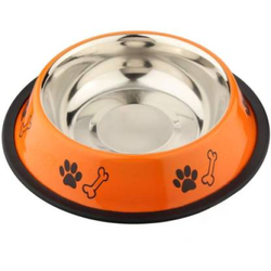 Pets Empire Printed Bowl for Dogs and Cats (Orange)