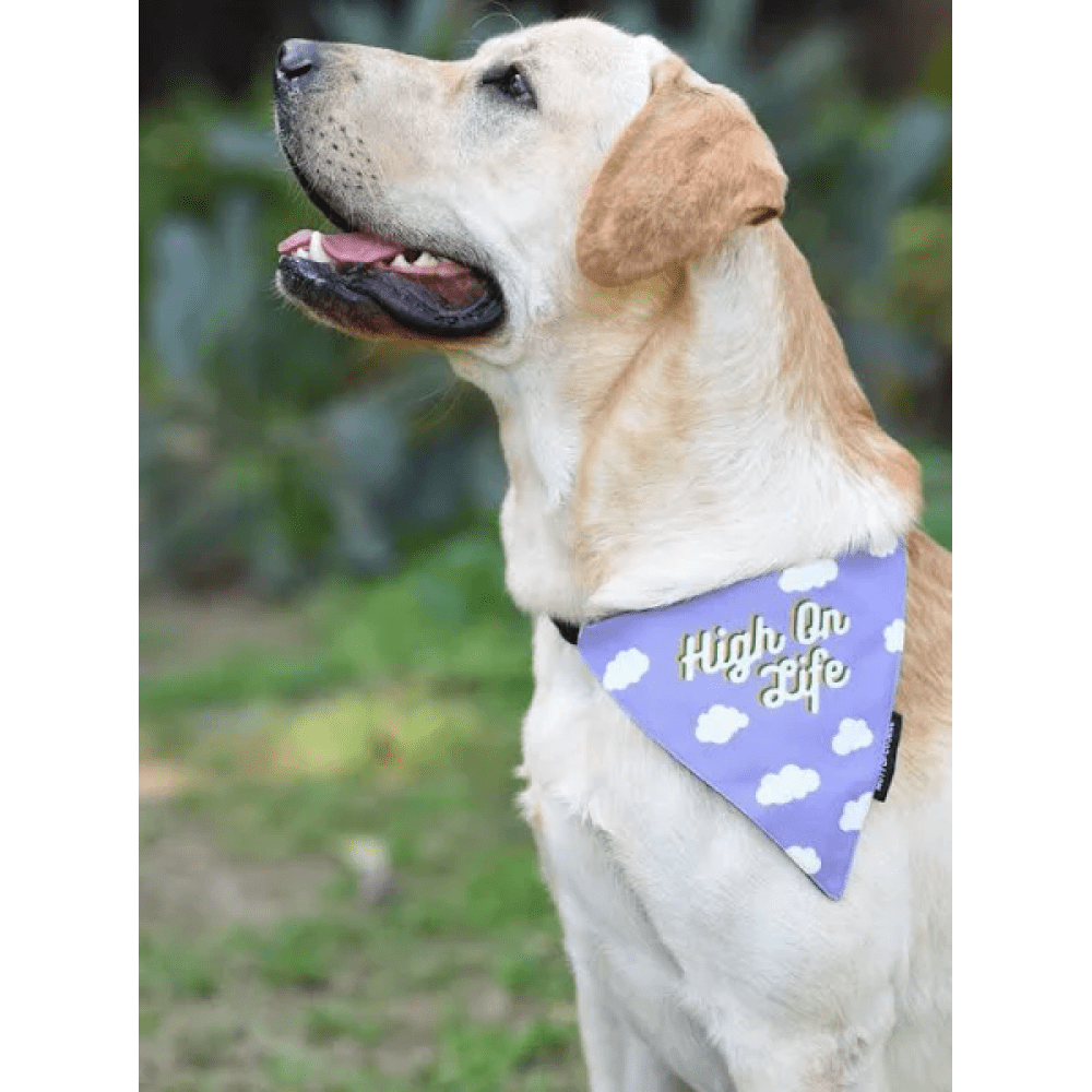 Mutt of Course Cotton High On Life Bandana for Dogs
