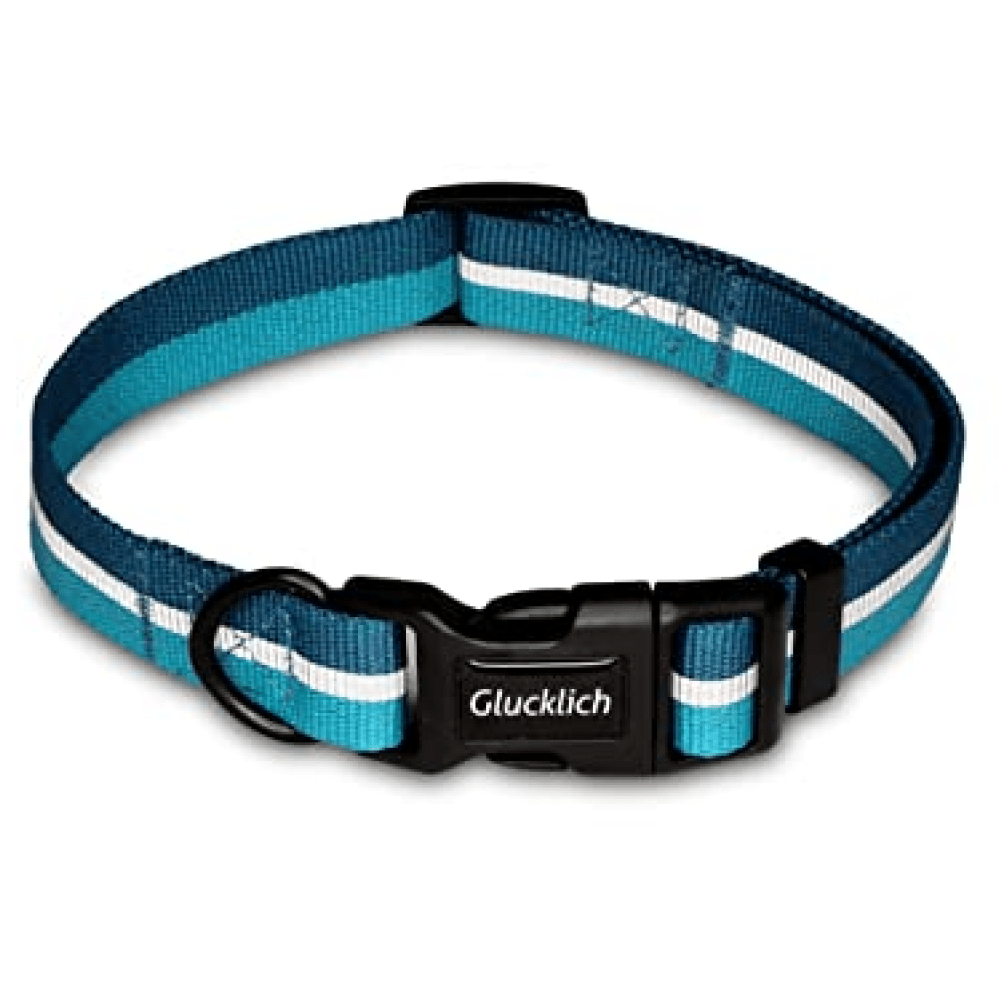 Glucklich Everyday Reflective Collar for Dogs (Sea Green)