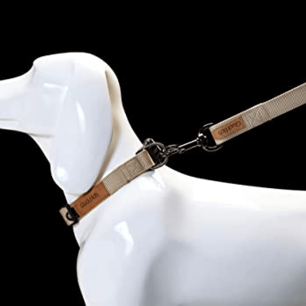 Glucklich Pet Essentials Classic Nylon Collar for Dogs (Beige)