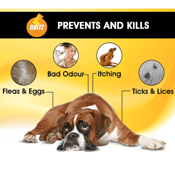 Boltz Anti Tick & Flea Shampoo with Brush for Dogs