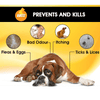 Boltz Anti Tick & Flea Shampoo with Brush for Dogs