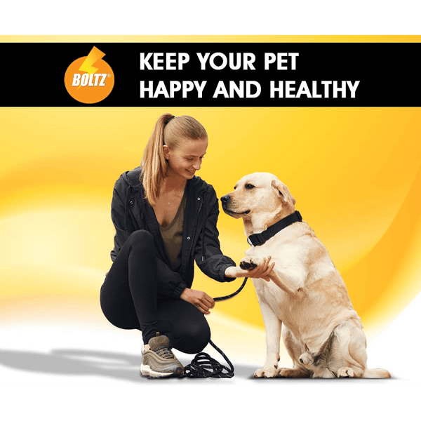 Boltz Anti Tick & Flea Shampoo with Brush for Dogs