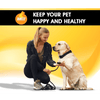 Boltz Anti Tick & Flea Shampoo with Brush for Dogs