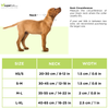 Trixie Softline Elegance Collar for Dogs (Ocean/Petrol) Dogs-Collar, Leashes, harnesses Trixie