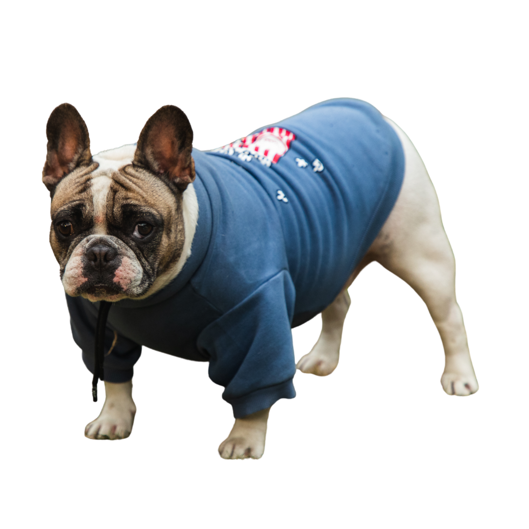 Pet Snugs Popcorn Print Sweatshirt for Dogs (Sky Blue)