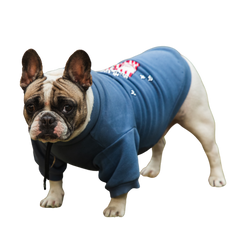 Pet Snugs Popcorn Print Sweatshirt for Dogs (Sky Blue)