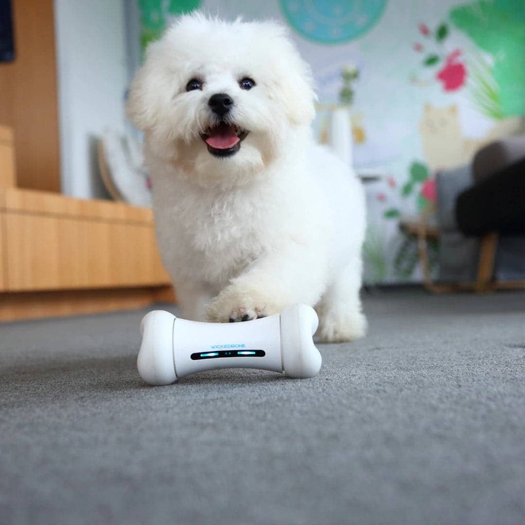 Cheerble Wicked Bone Interactive Toy for Dogs