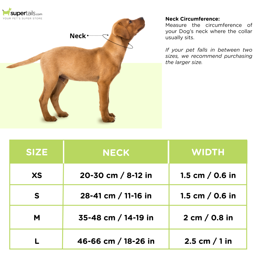 Zoomiez Bolt Printed Collar for Dogs
