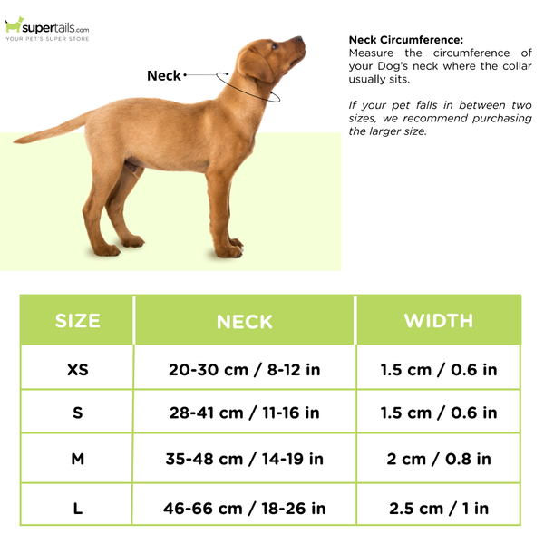 Zoomiez Solar Printed Collar for Dogs