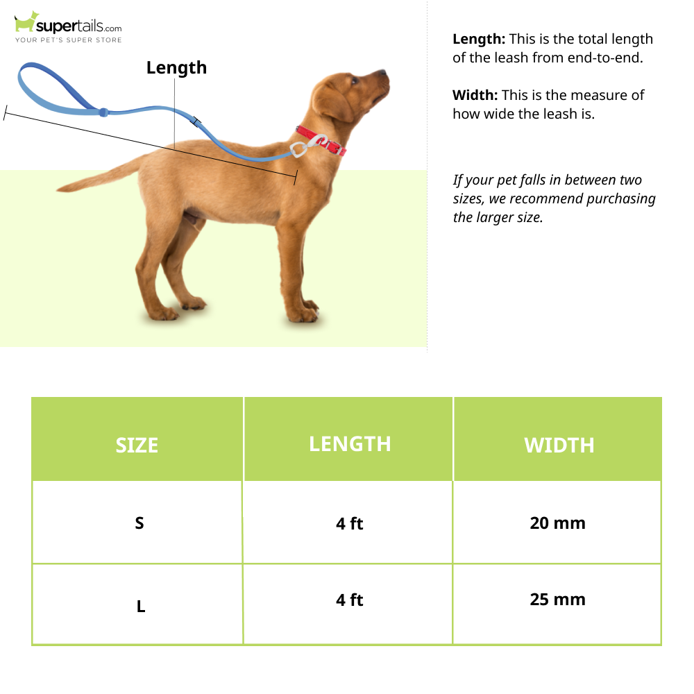 Zoomiez Bolt Printed Leash for Dogs