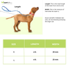 Zoomiez Bolt Printed Leash for Dogs