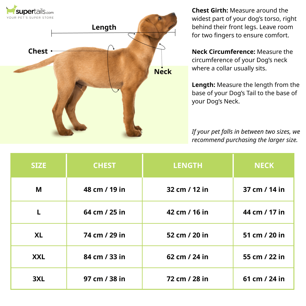 Barkbutler x Fofos Four Leg Black Raincoat for Dogs (Button Up Style) Dogs-Clothing & Accessories Barkbutler