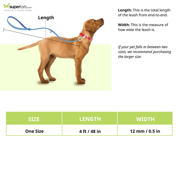 Basil Shock Absorbing Stretch Leash for Dogs (Pink)