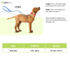 Basil Shock Absorbing Stretch Leash for Dogs (Pink)