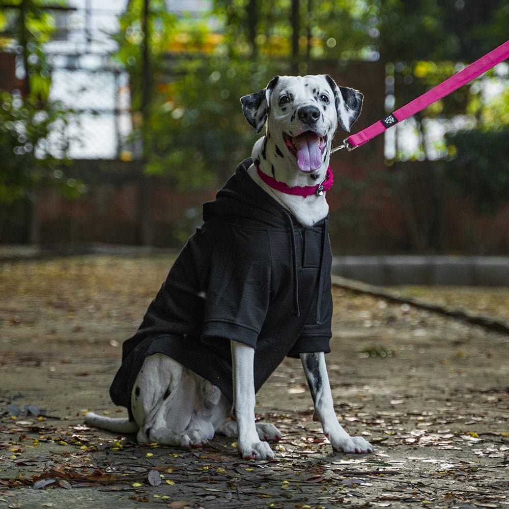 Dear Pet Sweatshirt for Dogs (Black)