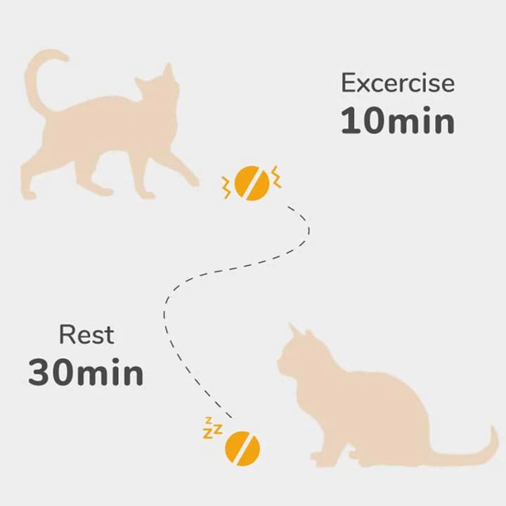 Cheerble Electronic Ball Toy for Cats (Red) Cats-Toys Cheerble