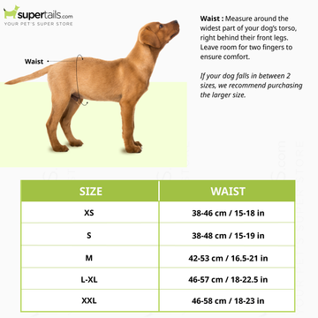 Simple Solution Disposable Diaper for Female Dogs (38x46cm)