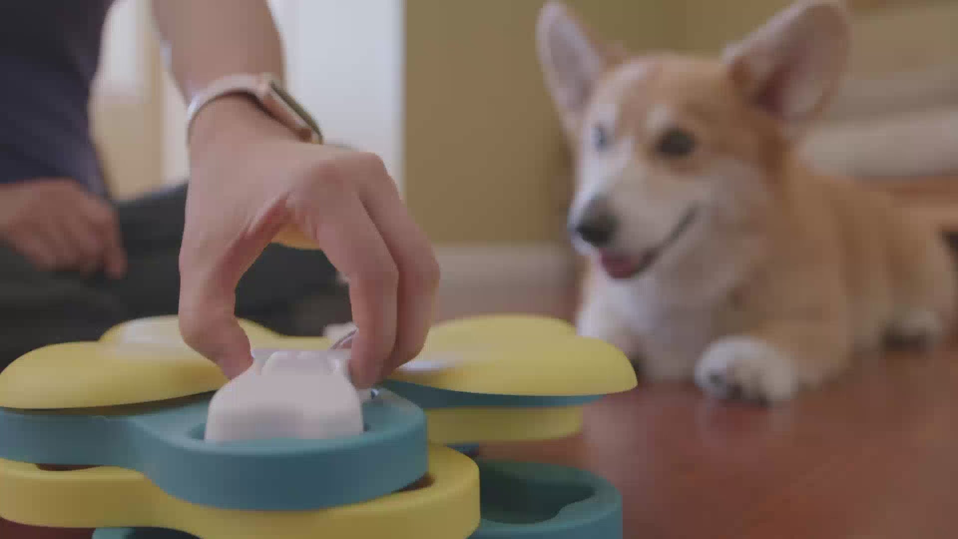 Outward Hound - Dog Tornado Interactive Treat Puzzle Pink - Puppy