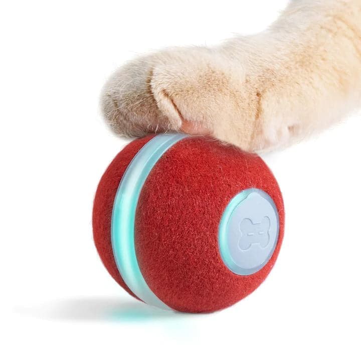 Cheerble Electronic Ball Toy for Cats (Red) Cats-Toys Cheerble 4.2cm