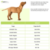 Nylabone Power Chew Textured Bone Toy for Dogs (Brown) Dogs-Toys Nylabone