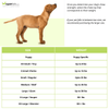 Nylabone Spilt Antler Nature Inspired Power Chew Toy for Dogs