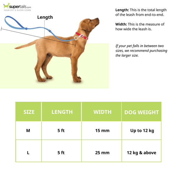 Furry & Co Wild One Comfort Leash for Dogs