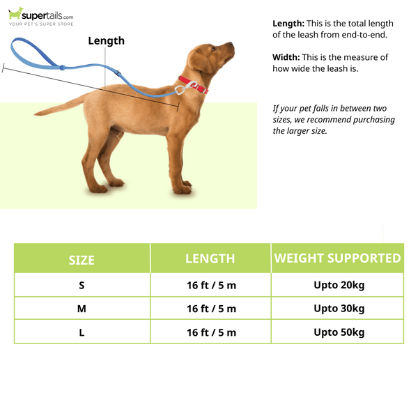 Kong Terrain Retractable Leash for Dogs and Cats (Fuchsia)