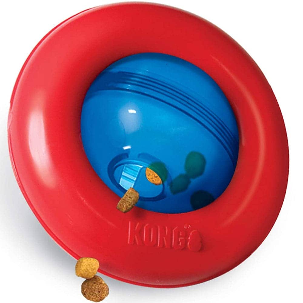 Kong Gyro Dog Toy