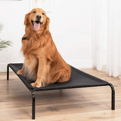 Fluffy's Pawsome Waterproof elevated Sides Camping Bed for Dogs (Black)