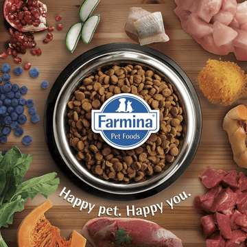 Farmina N&D Prime Chicken & Pomegranate Grain Free Kitten Cat Dry Food