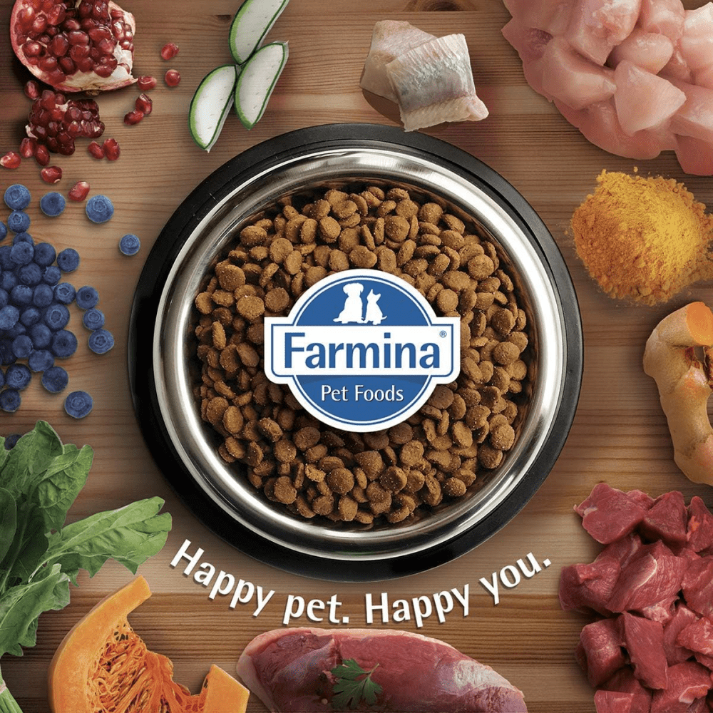 Farmina N&D Ancestral Grain Chicken & Pomegranate Adult Mini Dog Dry Food (Limited Shelf Life) Dogs- Dry Food Farmina N&D