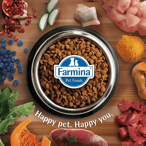 Farmina N&D Quinoa Quail Coconut & Turmeric Skin & Coat All Breed Dog Dry Food