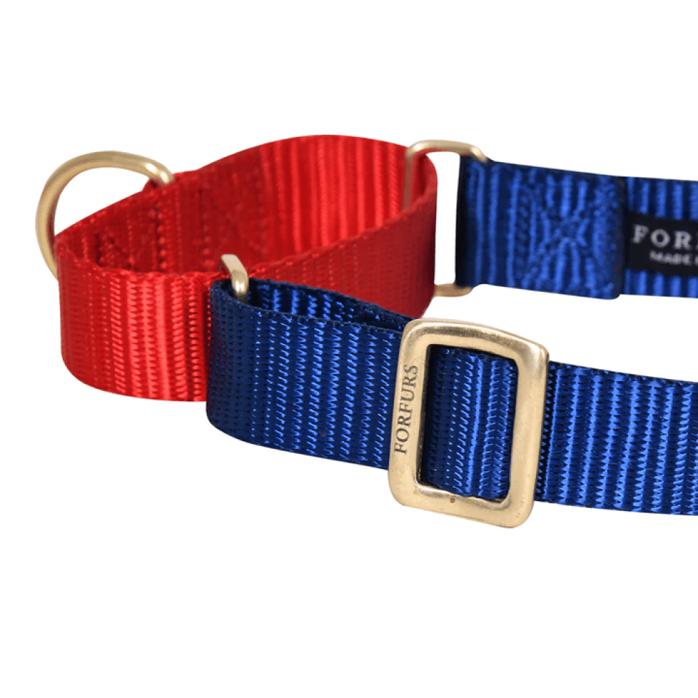Forfurs Martingale Collar with Brass Fittings for Dogs (Navy Blue X Tomato Red)