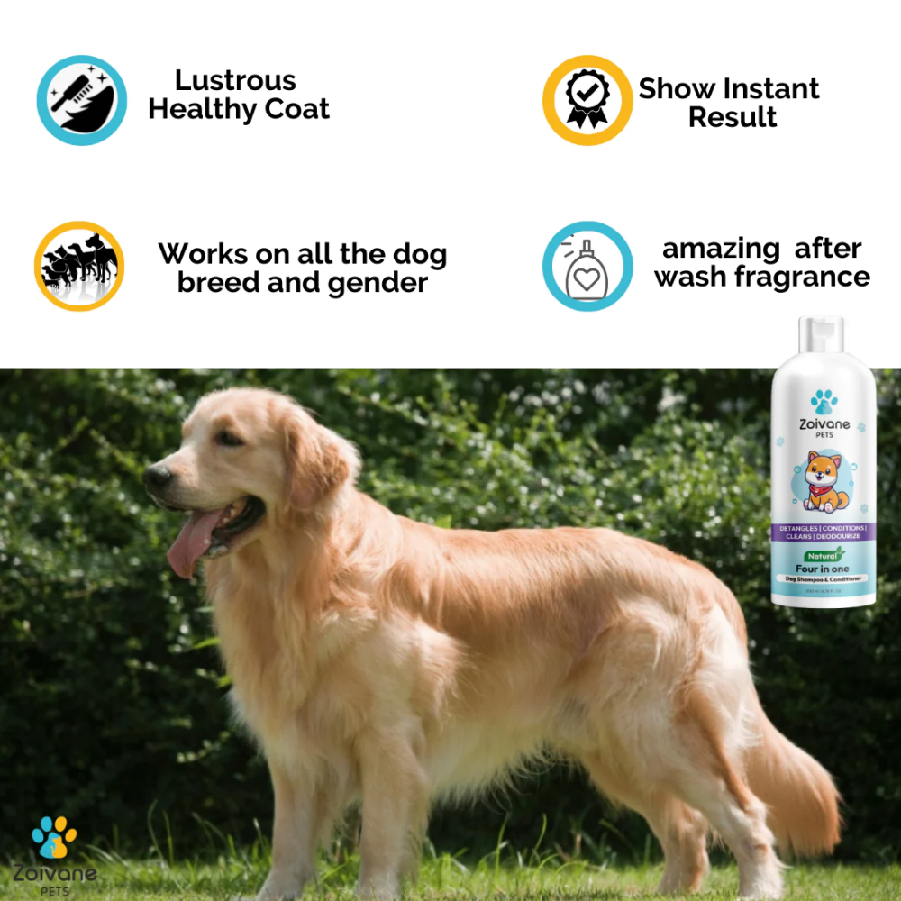 Zoivane Natural 4 in 1 Shampoo Conditioner for Dogs (Floral & Sweet)